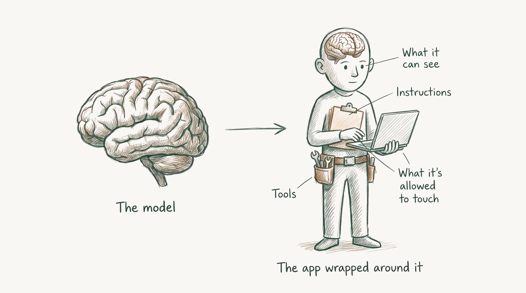 A hand-drawn brain labeled "The model" next to a person holding a laptop and a clipboard, labeled "The app wrapped around it"
